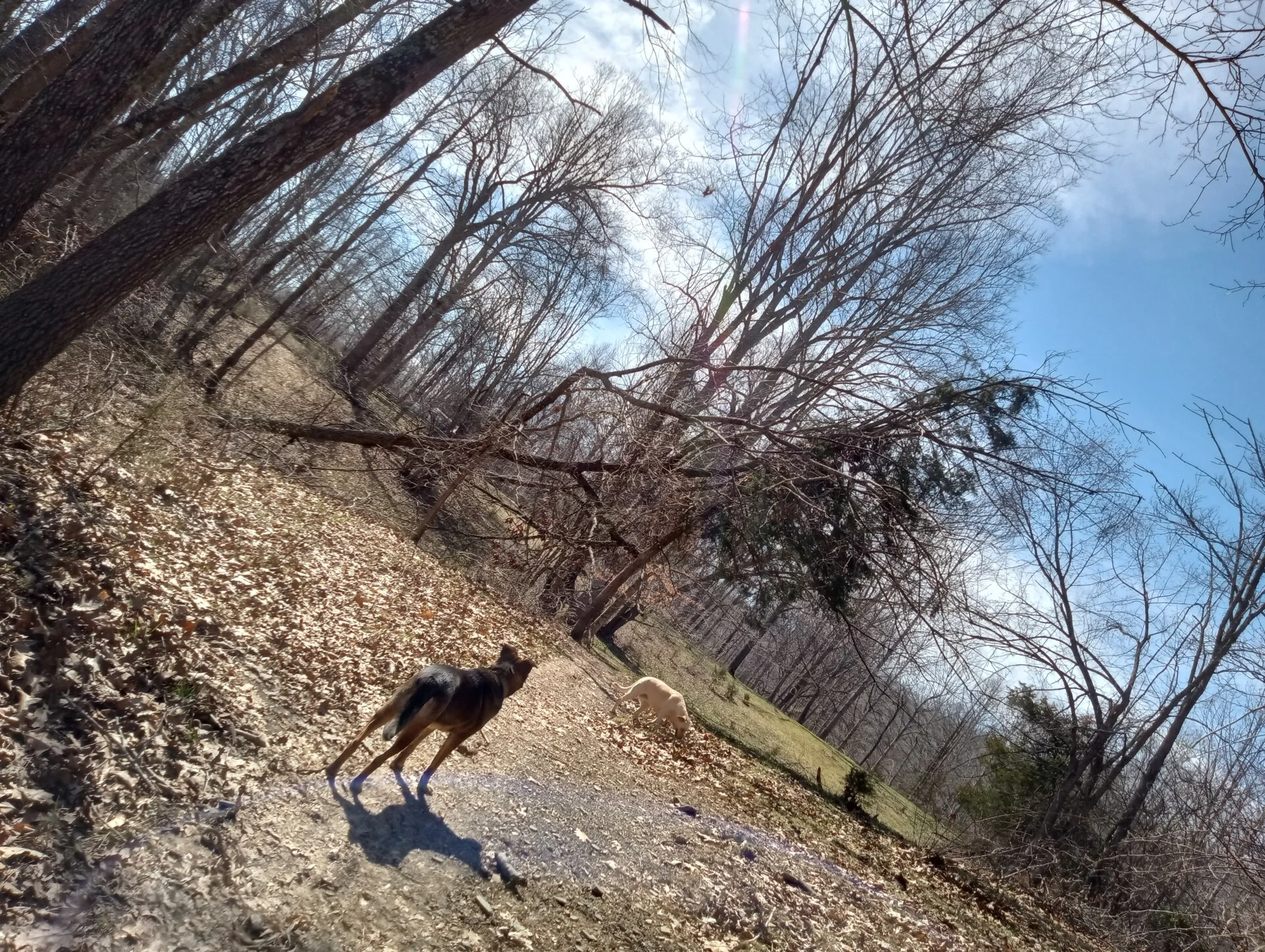 Derecho Windstorm