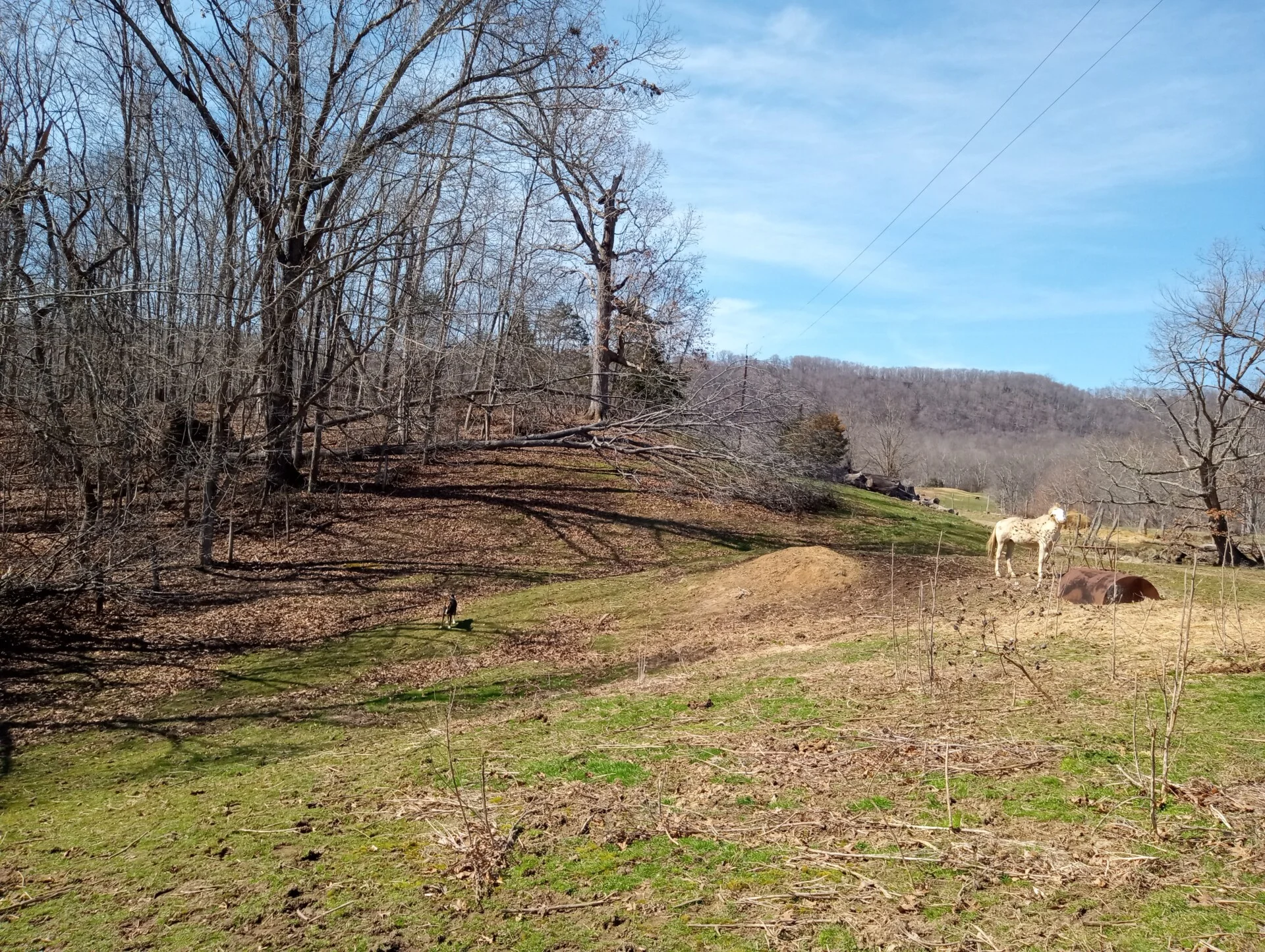 Derecho Windstorm