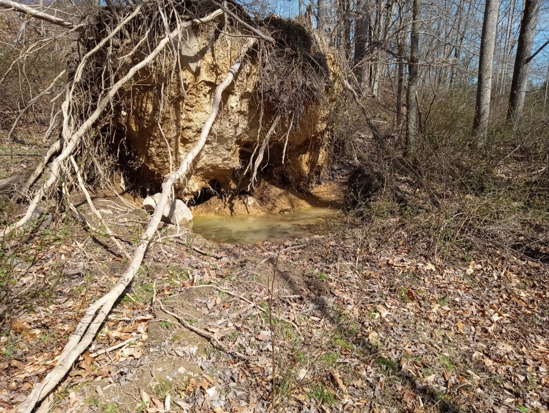 Derecho Windstorm