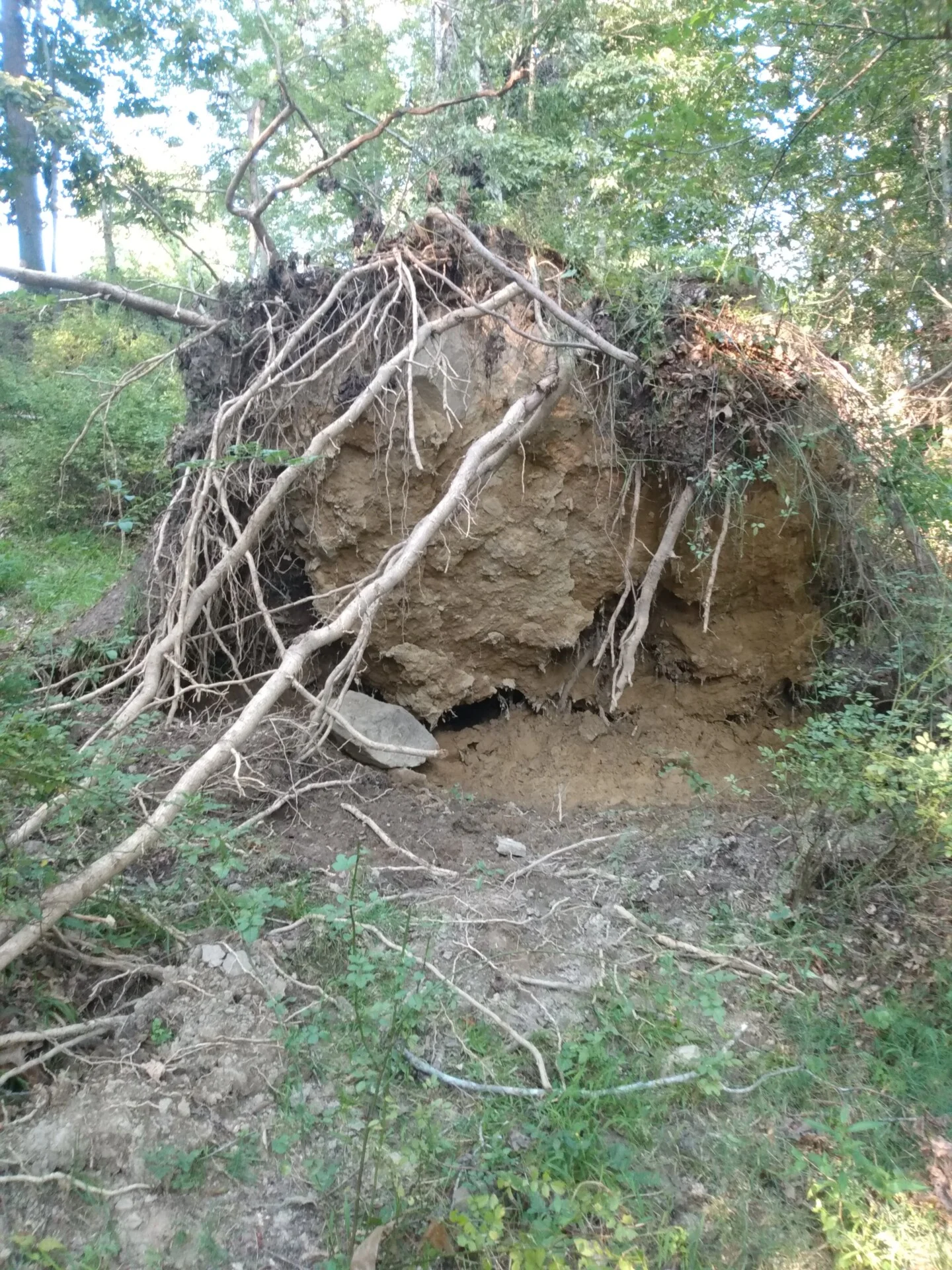 Derecho Windstorm